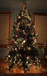 Christmas Tree2005 thumbnail
